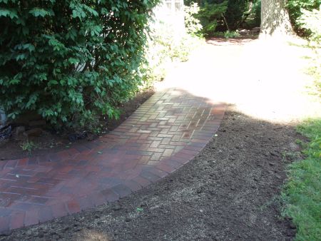 patio 2008 pics 007