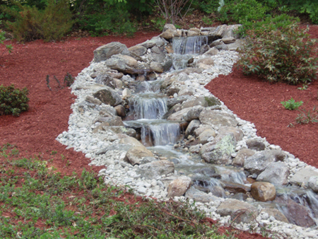 2007 pics 002