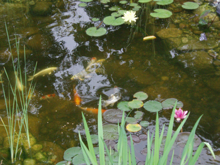 2007 pics 005