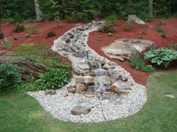 2007 pics 001