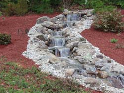 2007 pics 002