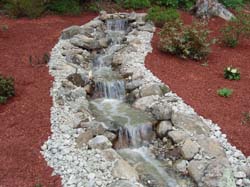 2007 pics 003