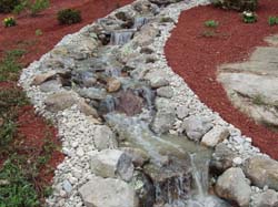 2007 pics 004