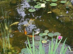 2007 pics 005