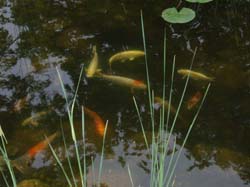2007 pics 007